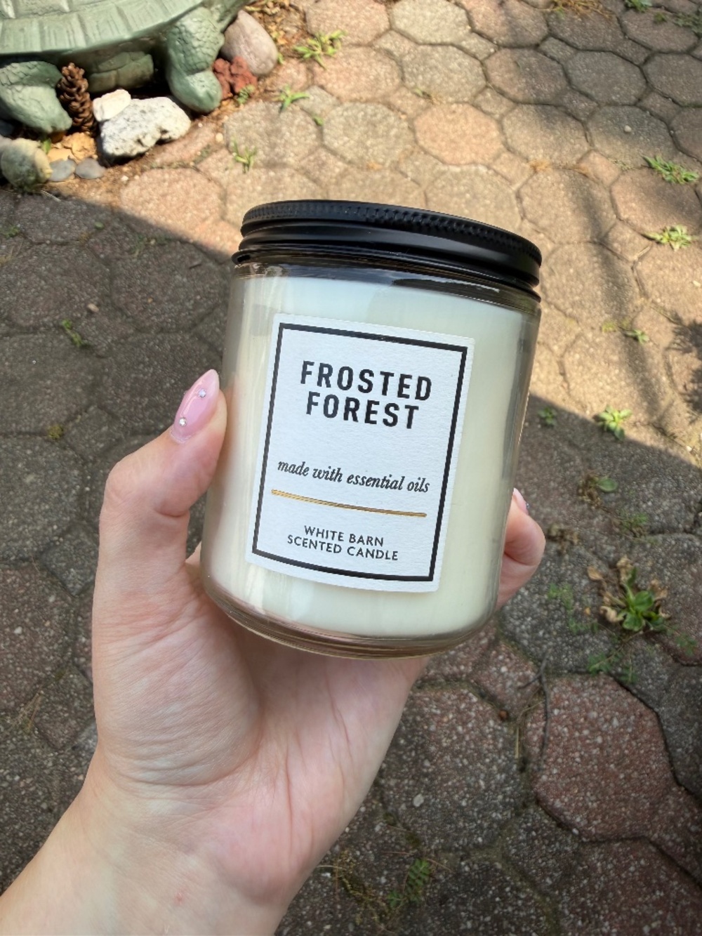 Bath & Body Works Frosted Forest Single Wick Candle 7 Oz
